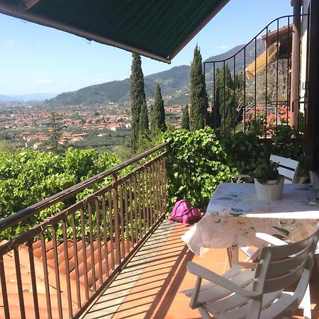 Belvedere 10 Pietrasanta Ngoại thất bức ảnh