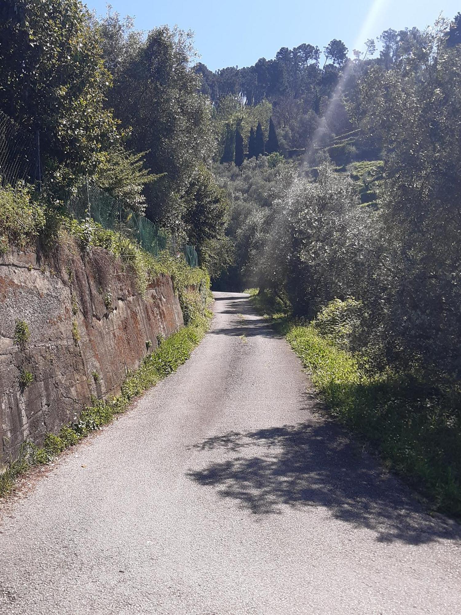 Belvedere 10 Pietrasanta Ngoại thất bức ảnh