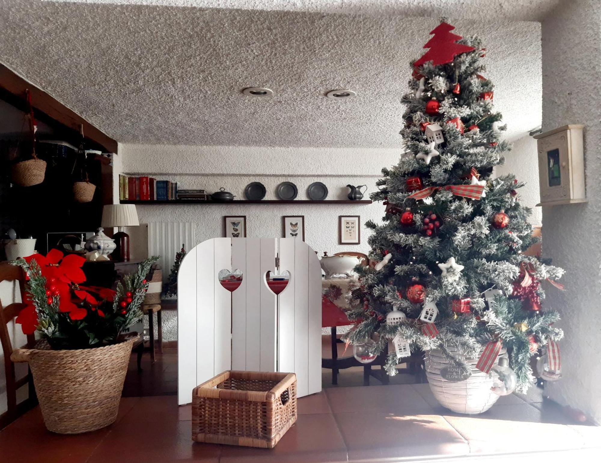 Belvedere 10 Pietrasanta Ngoại thất bức ảnh